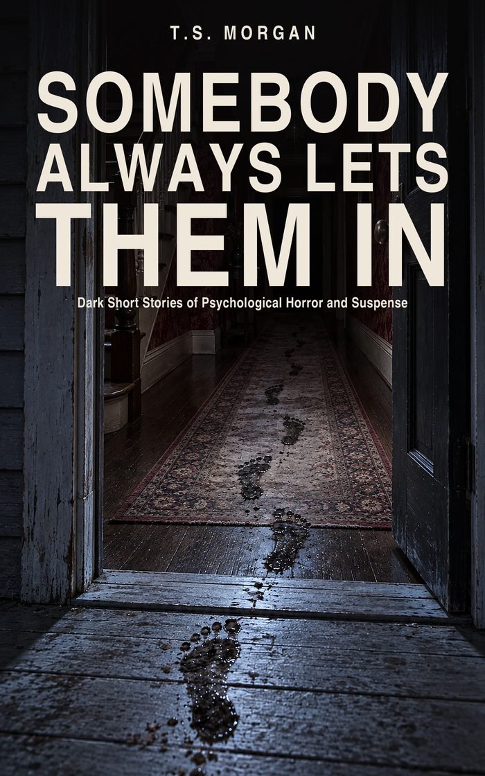 Somebody Always Lets Them In by T.S. Morgan, book cover